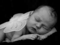 presley-newborn-may-2014-00085